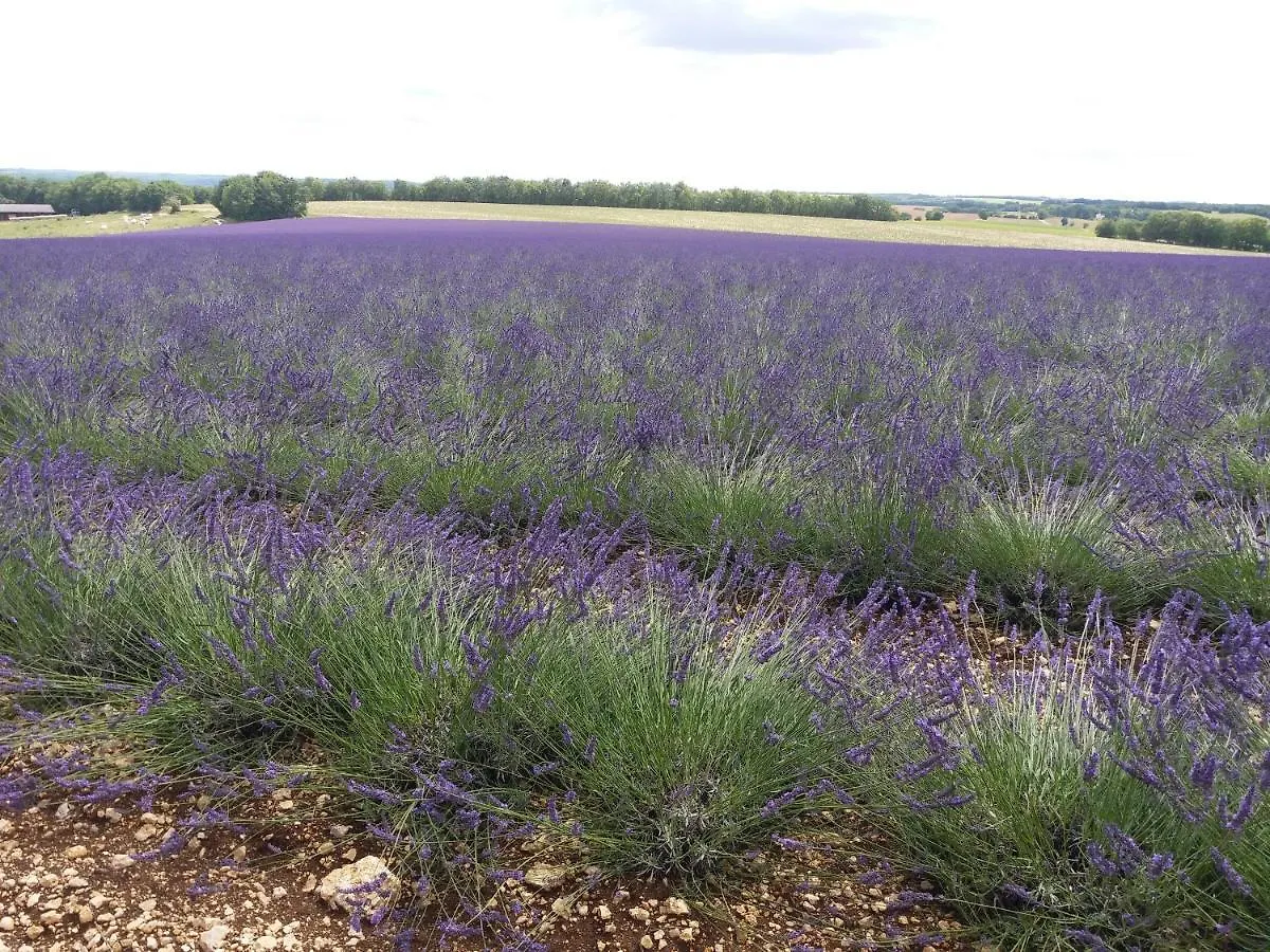 Maison de campagne MONTCUQ en Quercy Blanc 0*,  France